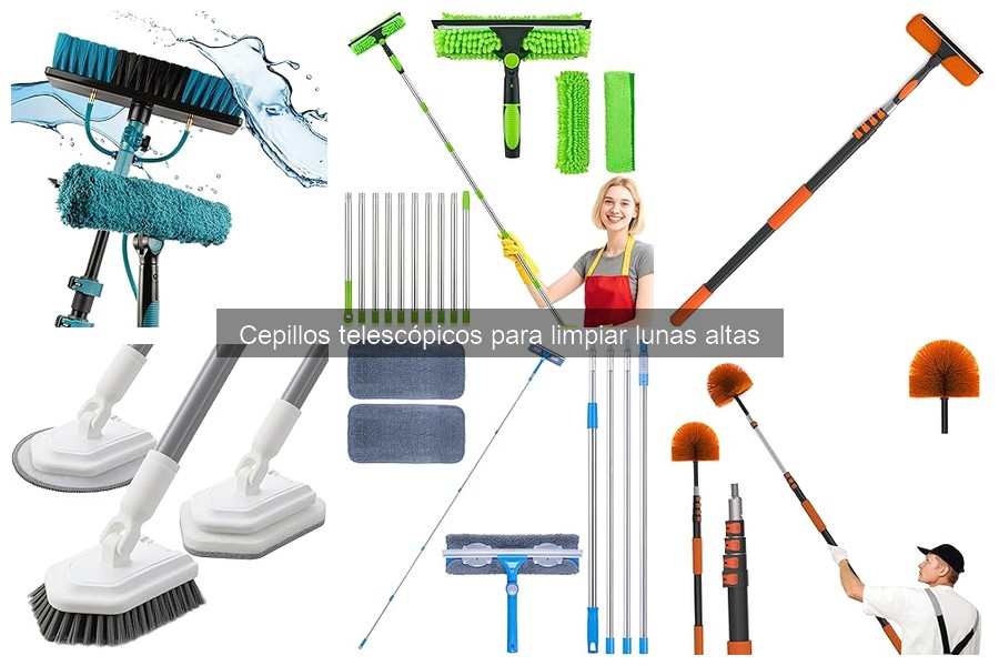 Guía de compra de cepillos telescópicos para lunas altas