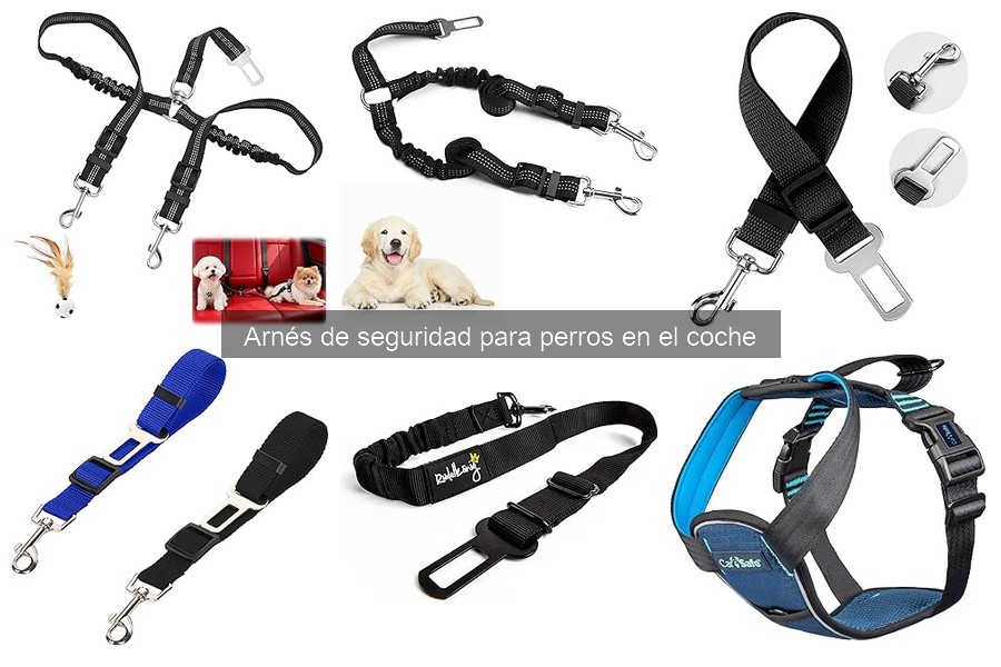Guía para elegir el mejor arnés de seguridad para perros en coche