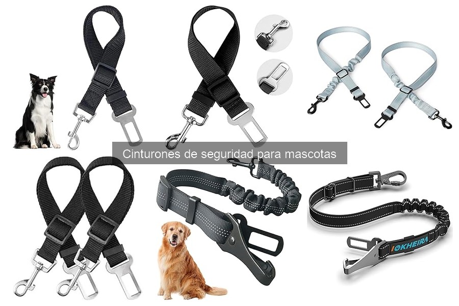 Guía para elegir el mejor cinturón de seguridad para mascotas