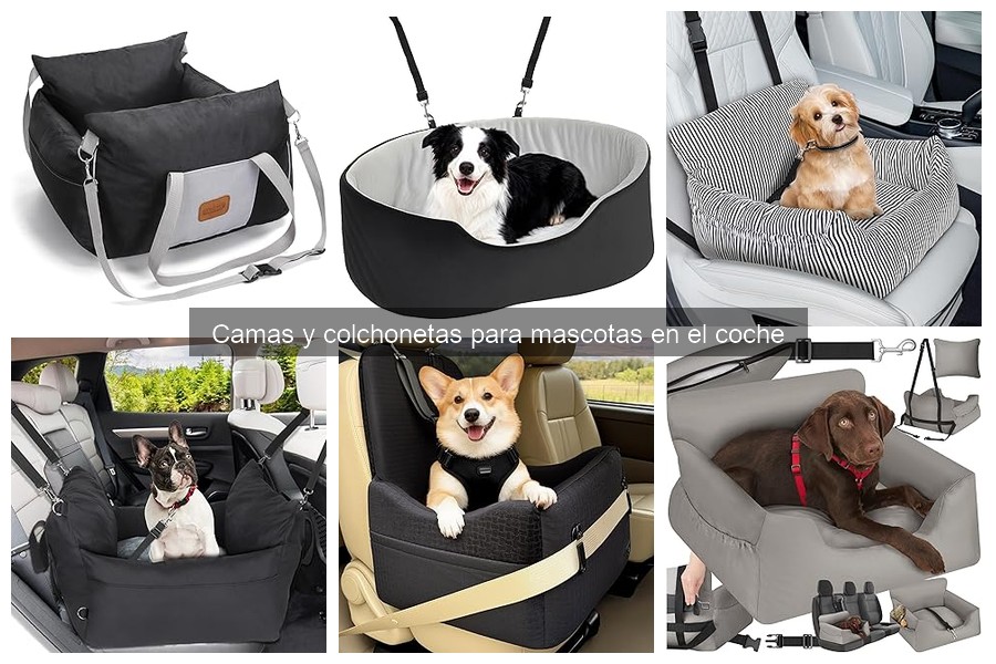 Guía para elegir la mejor cama para mascotas en el coche