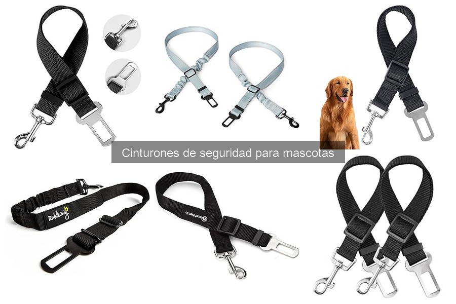 Guía para instalar un cinturón de seguridad para mascotas