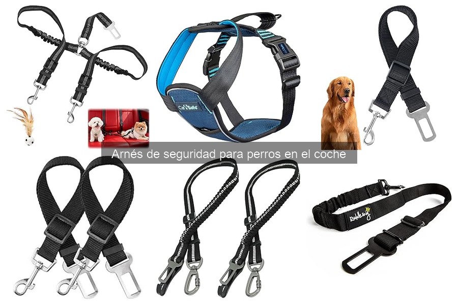 Mejores arneses de seguridad para perros grandes en el coche
