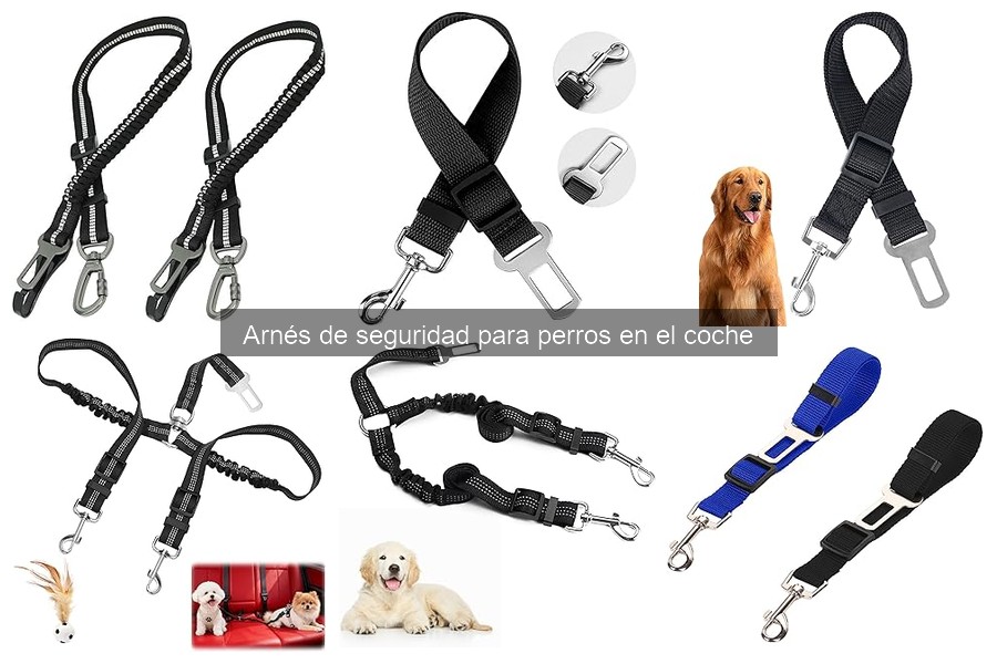 Mejores arneses de seguridad para perros pequeños en coche