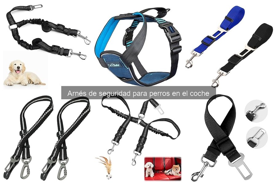 Mejores arneses de seguridad para perros según su tamaño