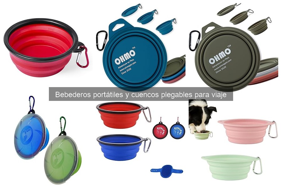 Mejores bebederos portátiles para viajes largos con tu mascota