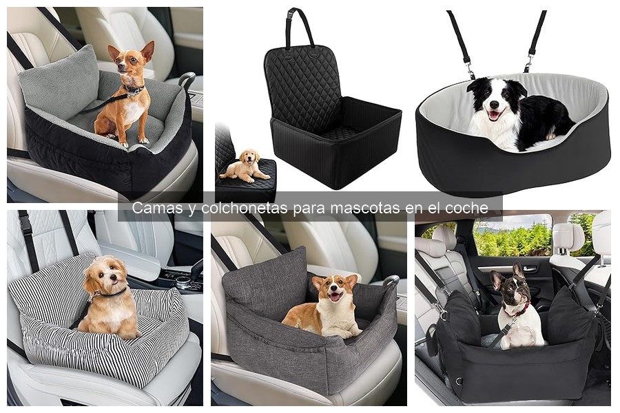 Mejores camas y colchonetasy para perros grandes en el coche
