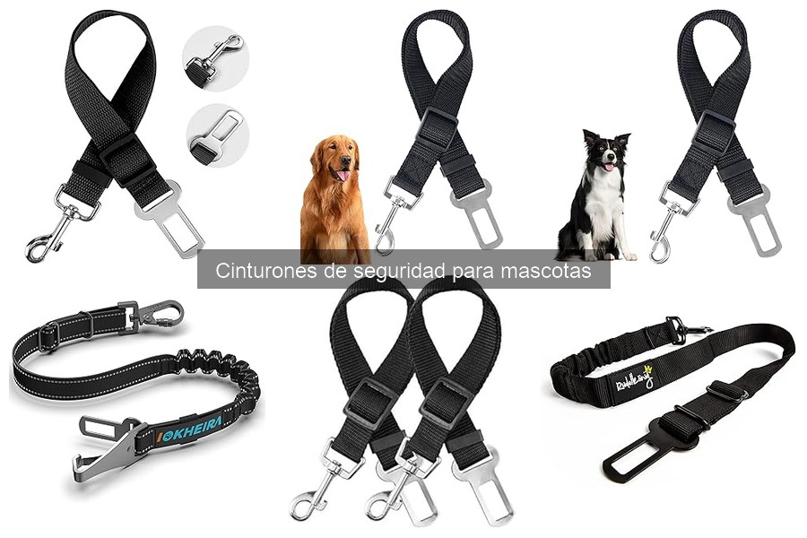 Mejores cinturones de seguridad para perros grandes: comparativa