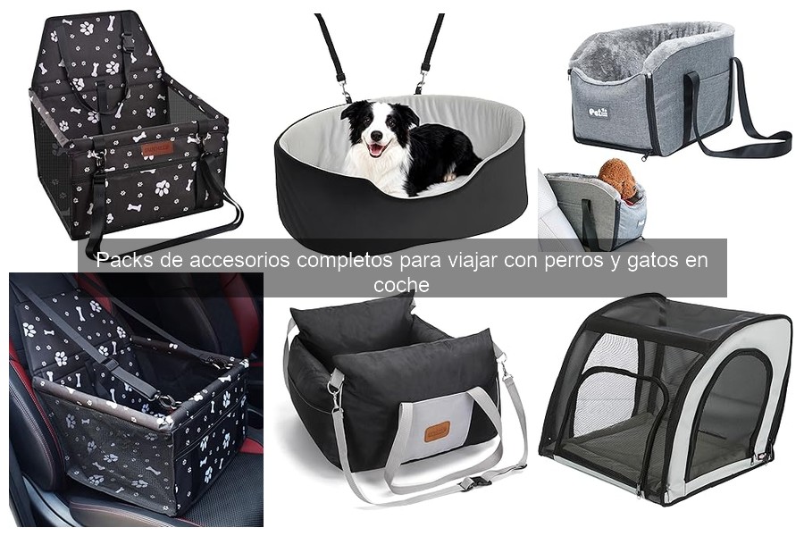 Mejores Consejos para Organizar tu Coche al Viajar con Mascotas