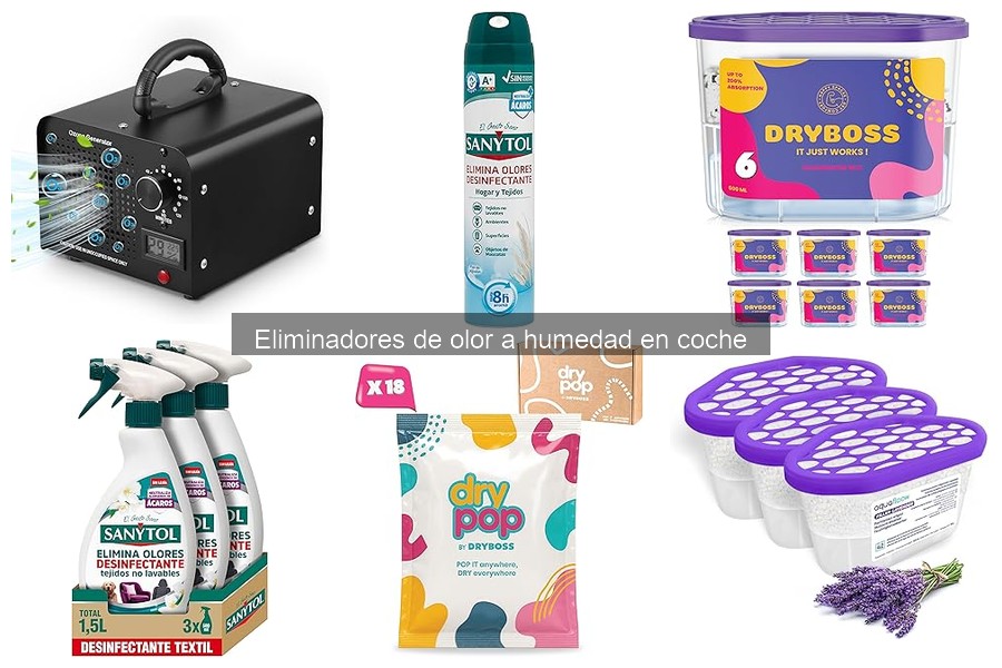 Mejores marcas de eliminadores de olor a humedad en coche