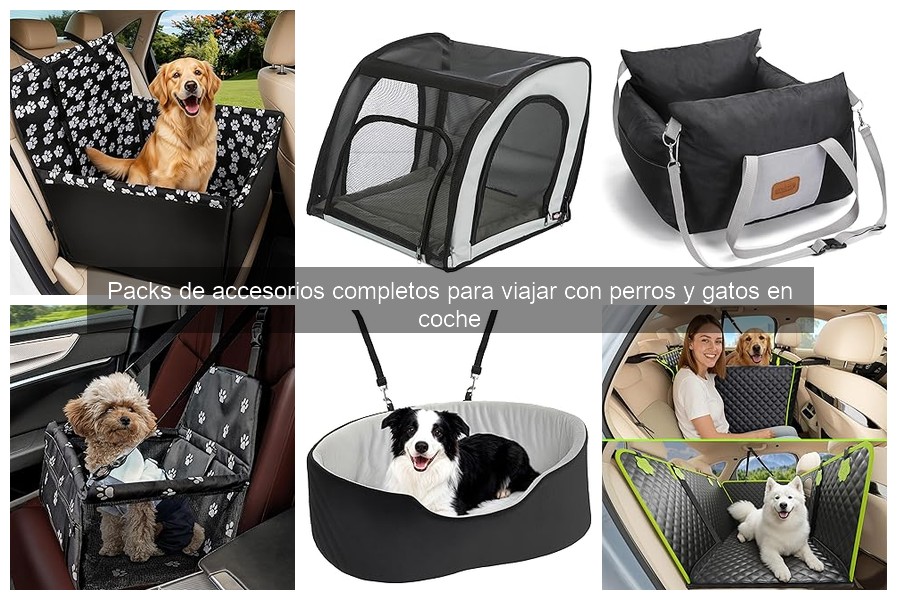 Mejores packs de accesorios para viajar con gatos en coche