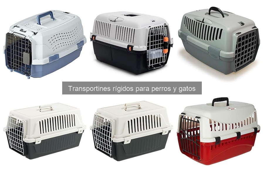 Mejores prácticas de cuidado y mantenimiento de transportines rígidos