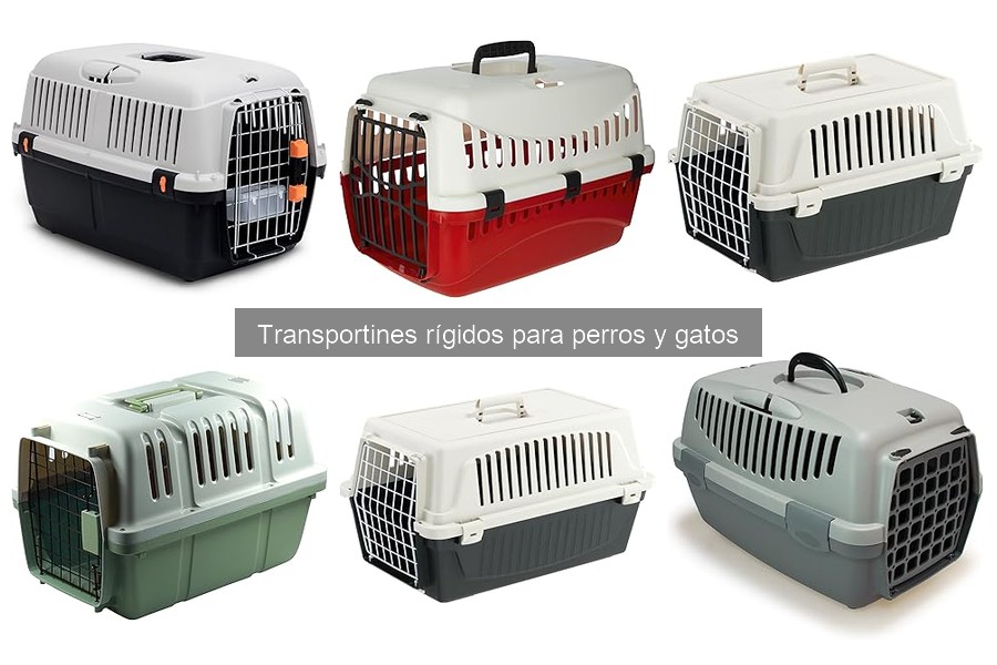Mejores transportines rígidos para gatos: comparativa 2023