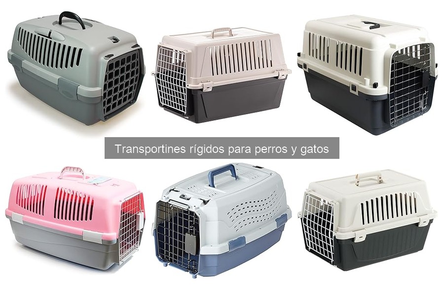 Mejores transportines rígidos para perros pequeños en 2023