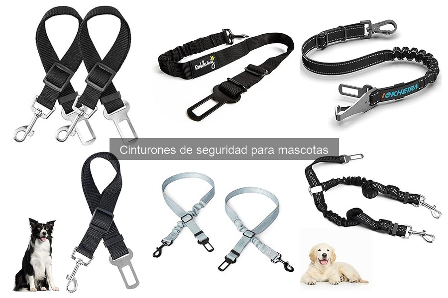 Normativa sobre cinturones de seguridad para mascotas en coche