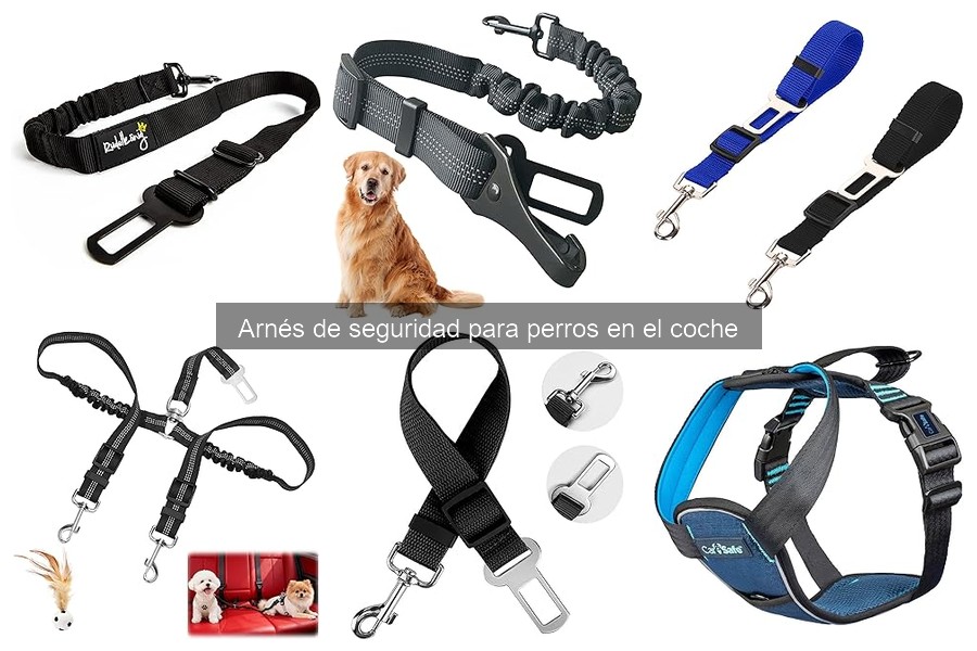 Opiniones de expertos sobre arneses de seguridad para perros