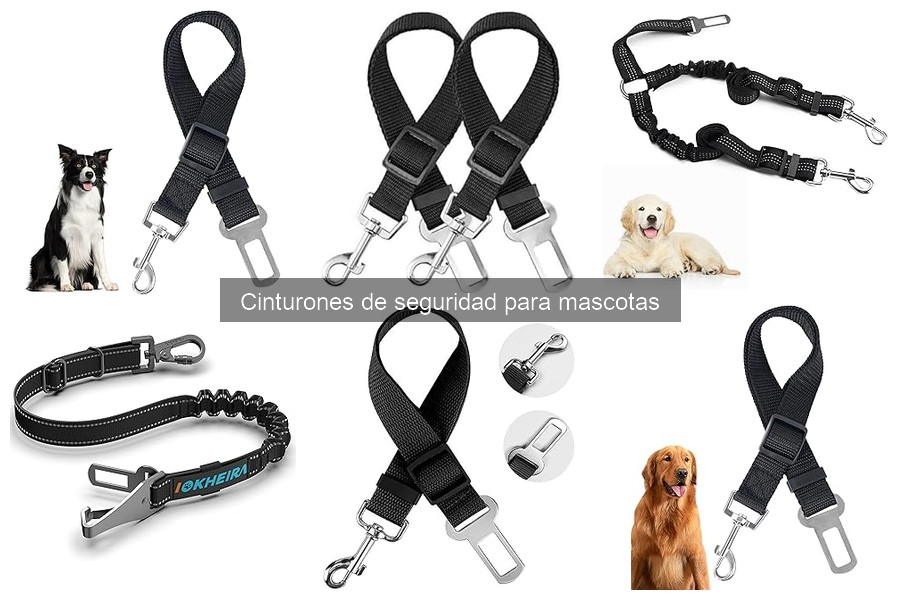 Opiniones sobre cinturones de seguridad para mascotas: ¿cuál elegir?