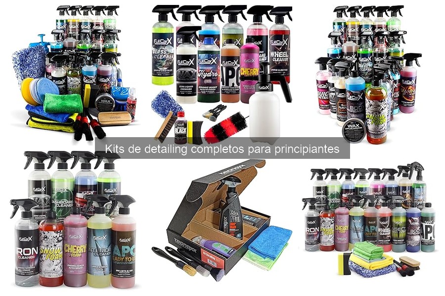 Opiniones sobre kits de detailing para principiantes