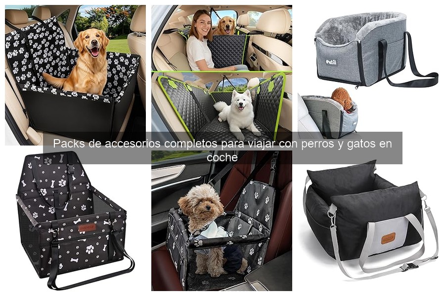 Problemas comunes al viajar con perros y sus soluciones