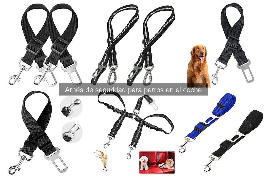** Problemas comunes con arneses de seguridad para perros en el coche