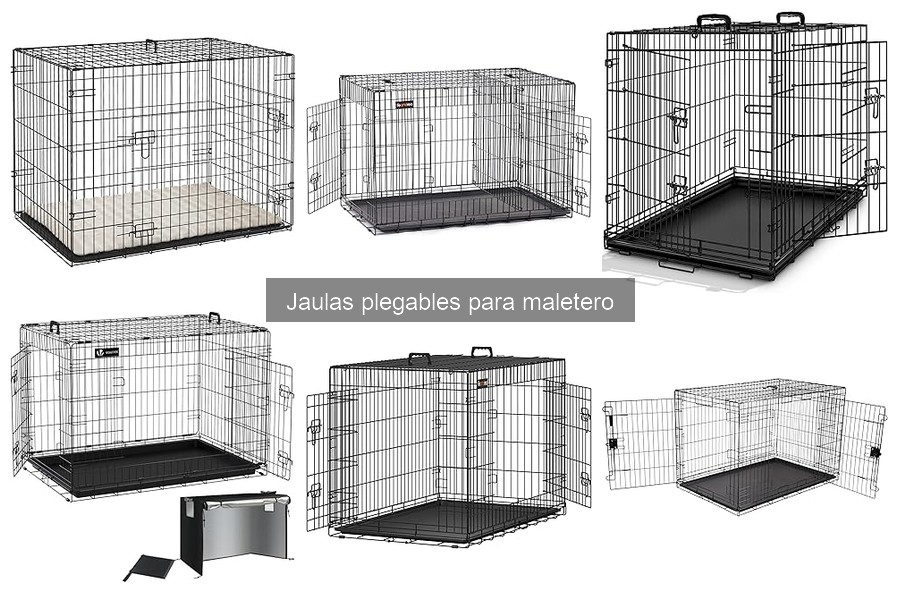 Problemas comunes con jaulas plegables para maletero