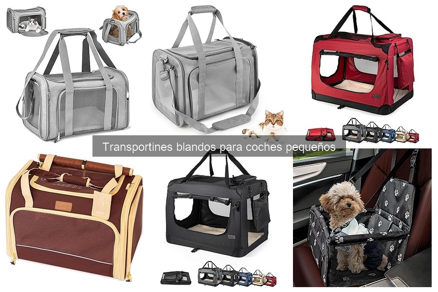 Problemas comunes con transportines blandos para coches pequeños