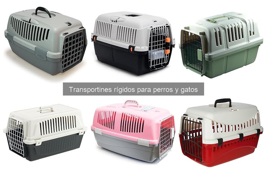 Problemas Comunes con Transportines Rígidos y Soluciones