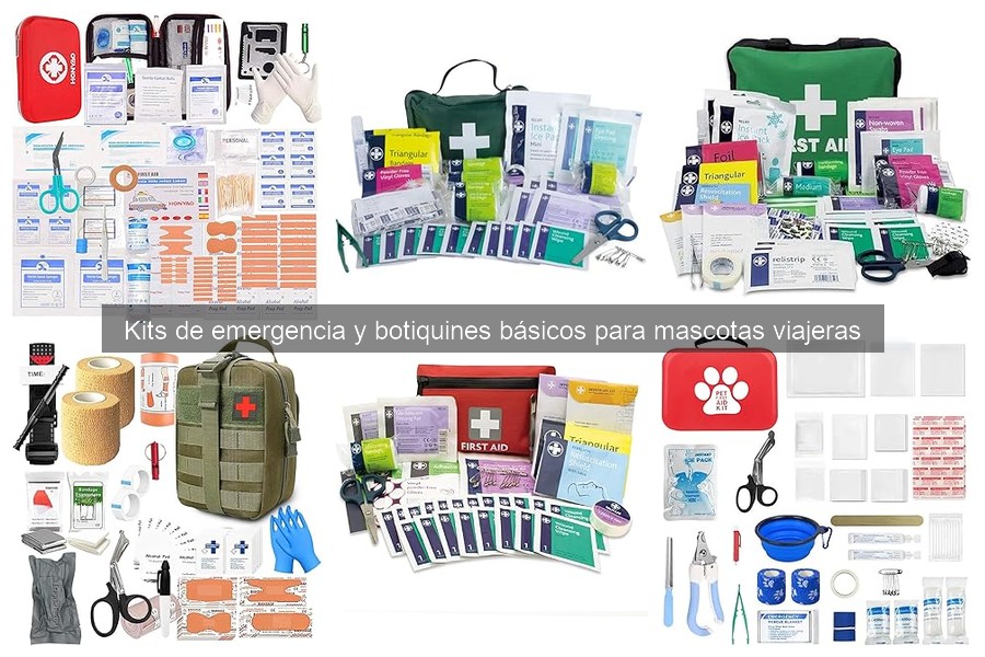 ¿Qué hacer si mi mascota sufre una emergencia en el viaje?