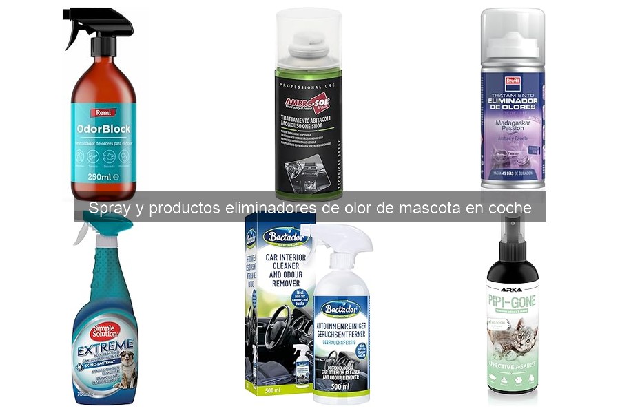 ¿Qué hacer si persiste el olor tras un spray eliminador?