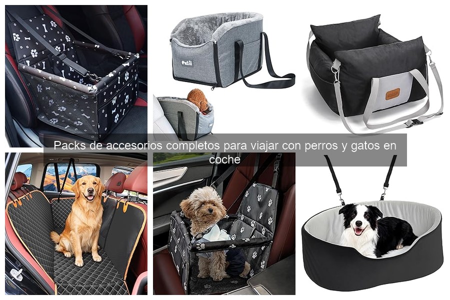 ¿Qué incluye un pack completo para viajar con mascotas?