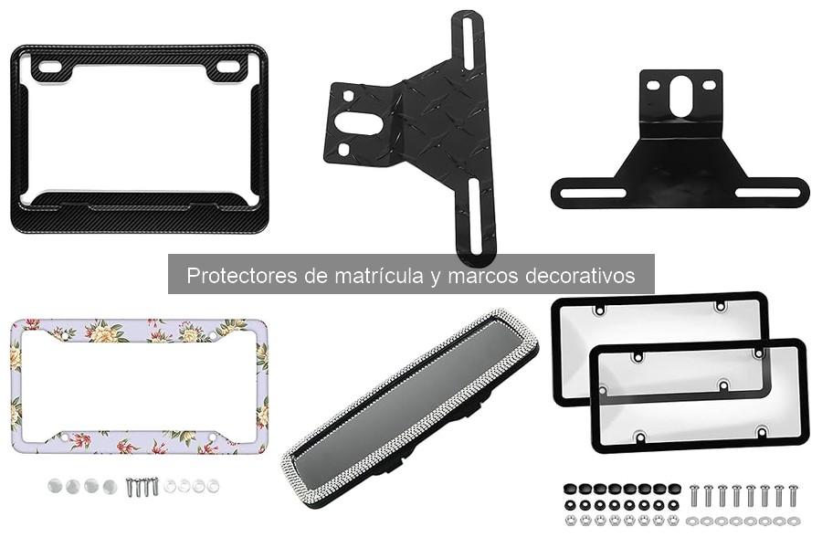 ¿Qué son los protectores de matrícula? Tipos y características