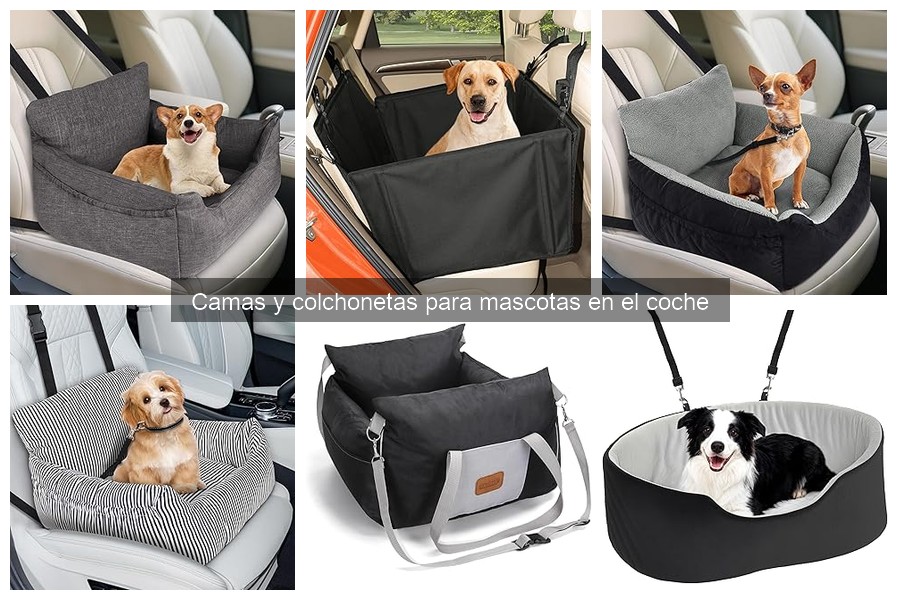 Seguridad de camas para mascotas en el coche: ¿Son fiables?
