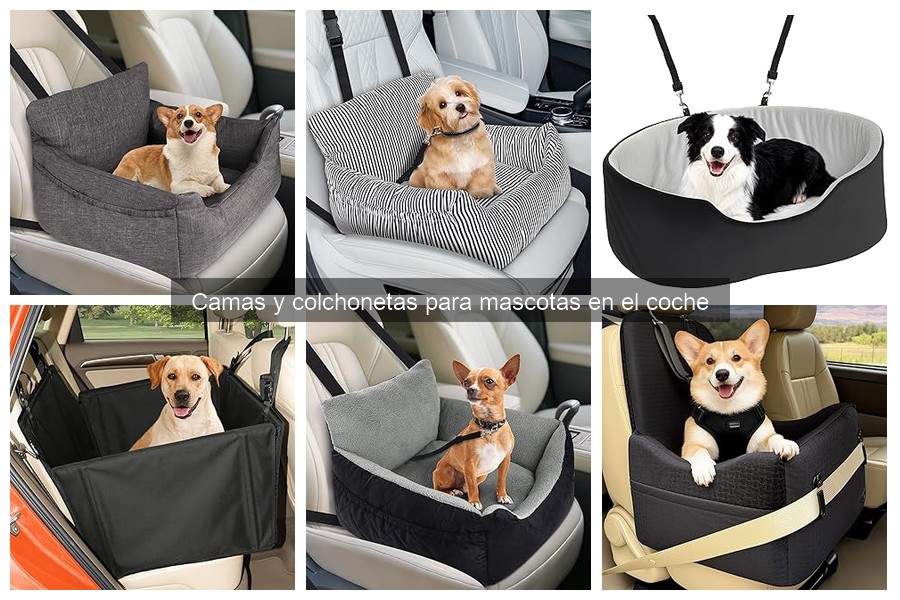 Tamaños de camas para mascotas según tu coche
