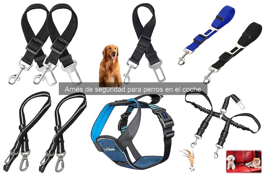 Tipos de arneses de seguridad para perros en el coche