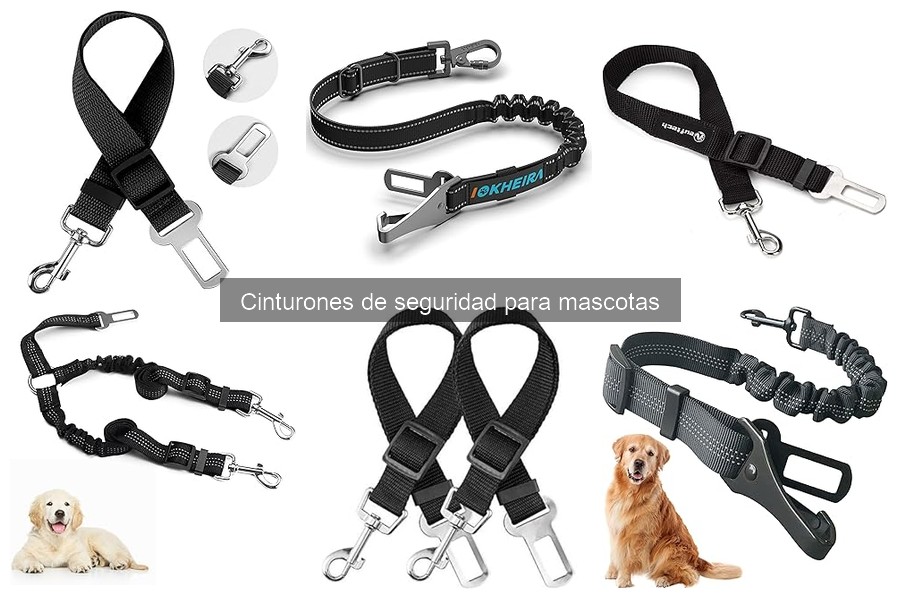 Tipos de cinturones de seguridad para mascotas: guía completa