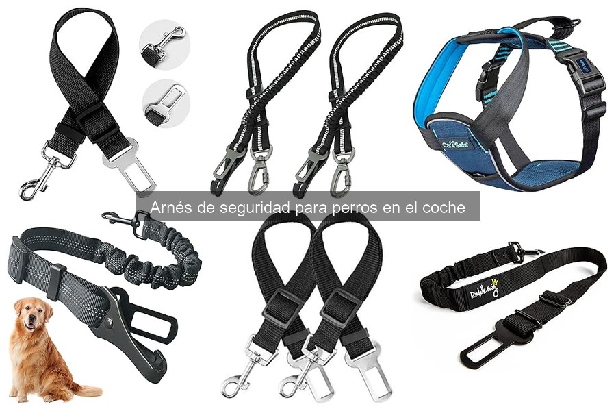 Todo sobre el arnés de seguridad para perros en el coche