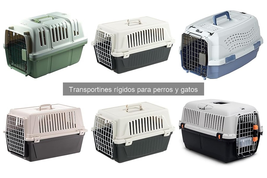 Transportín rígido para perros y gatos: características y usos