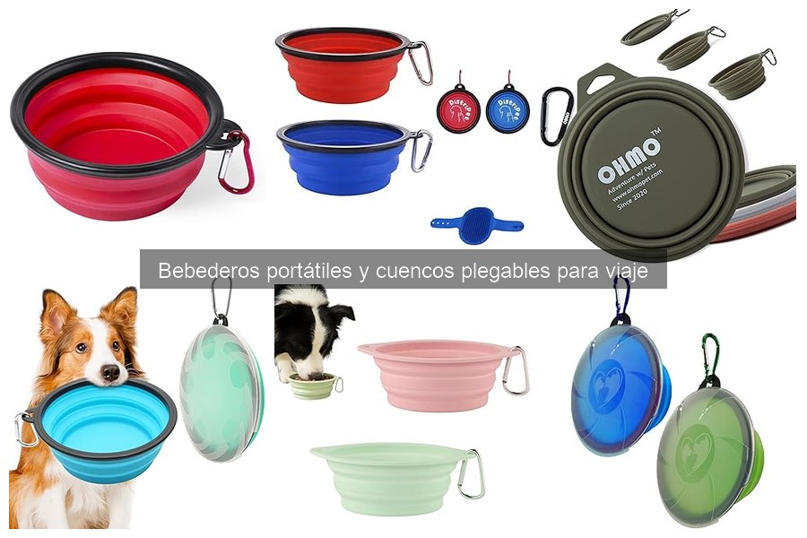 Ventajas de Bebederos Portátiles para Mascotas en Viajes