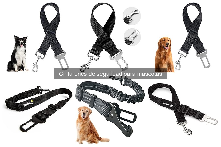 Ventajas de usar cinturones de seguridad para mascotas
