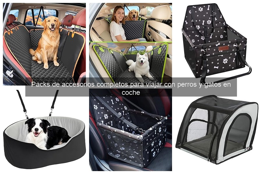 Ventajas del arnés y cinturón de seguridad para mascotas en coche