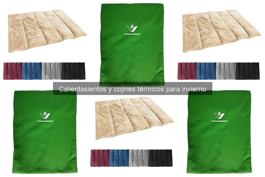 Ventajas y desventajas de los calientasientos en invierno