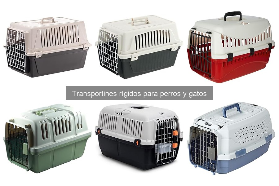 Ventajas y Desventajas de los Transportines Rígidos para Mascotas