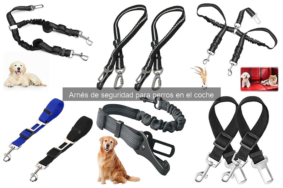 Ventajas y desventajas del arnés de seguridad para perros